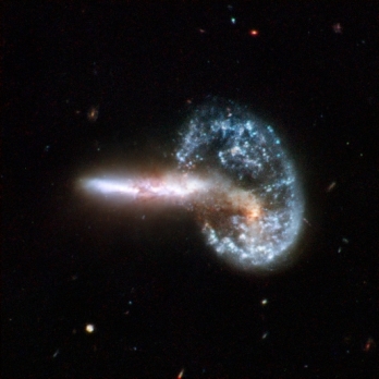 Arp 148 is the staggering aftermath of an encounter between two galaxies, resulting in a ring-shaped galaxy and a long-tailed companion. The collision between the two parent galaxies produced a shockwave effect that first drew matter into the centre and then caused it to propagate outwards in a ring. The elongated companion perpendicular to the ring suggests that Arp 148 is a unique snapshot of an ongoing collision. Infrared observations reveal a strong obscuration region that appears as a dark dust lane across the nucleus in optical light. Arp 148 is nicknamed "Mayall's object" and is located in the constellation of Ursa Major, the Great Bear, approximately 500 million light-years away. This interacting pair of galaxies is included in Arp's catalogue of peculiar galaxies as number 148. This image is part of a large collection of 59 images of merging galaxies taken by the Hubble Space Telescope and released on the occasion of its 18th anniversary on 24th April 2008.